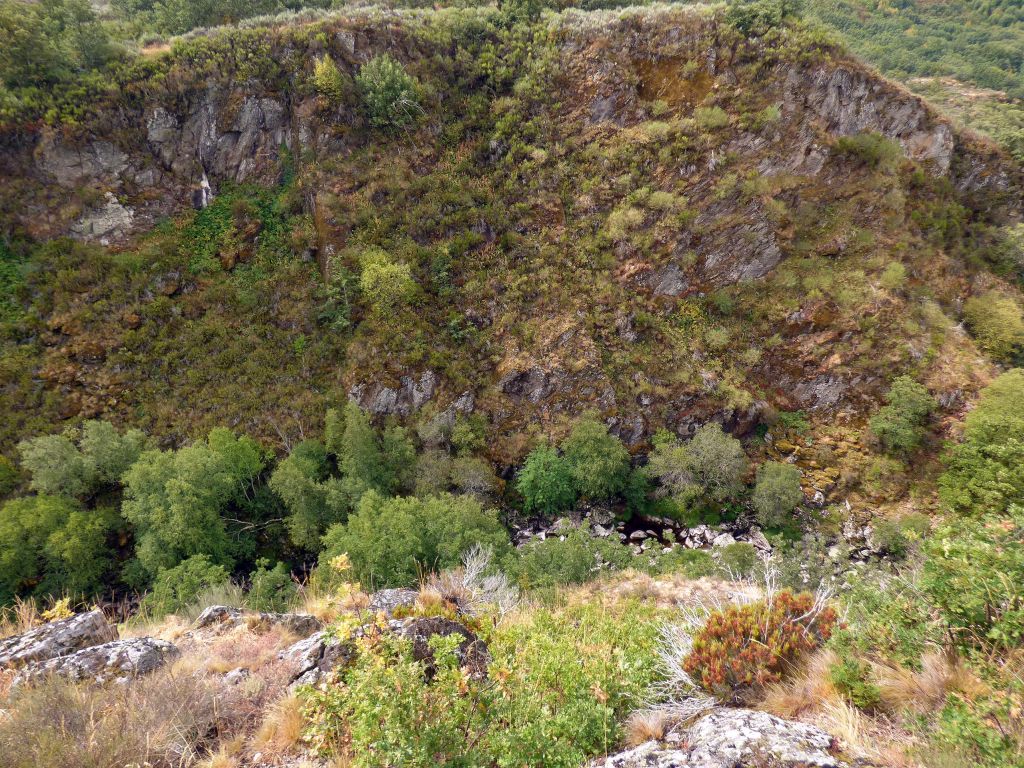 Vista general de un tramo del cauce en la reserva natural fluvial Río Bibey I