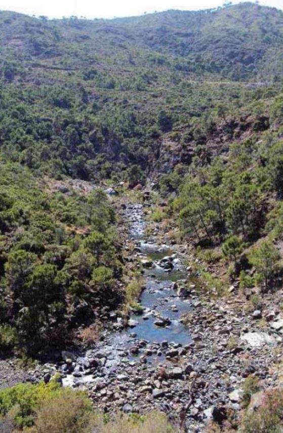 Reserva Natural Fluvial Alto Guadalmansa