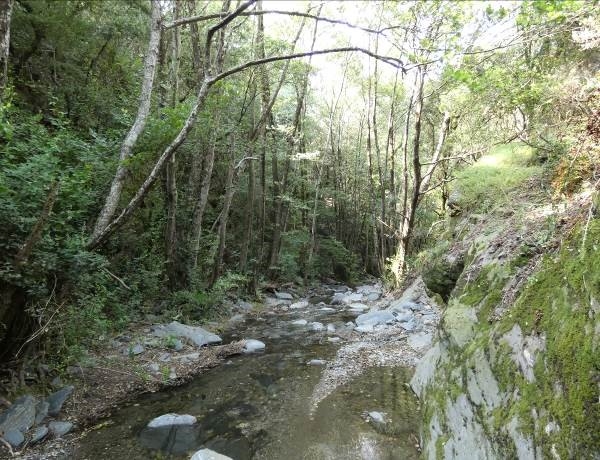 Reserva Natural Fluvial Cabecera del Tordera