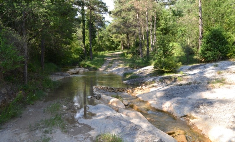 Reserva Natural Fluvial Cabecera de la Riera de la Portella