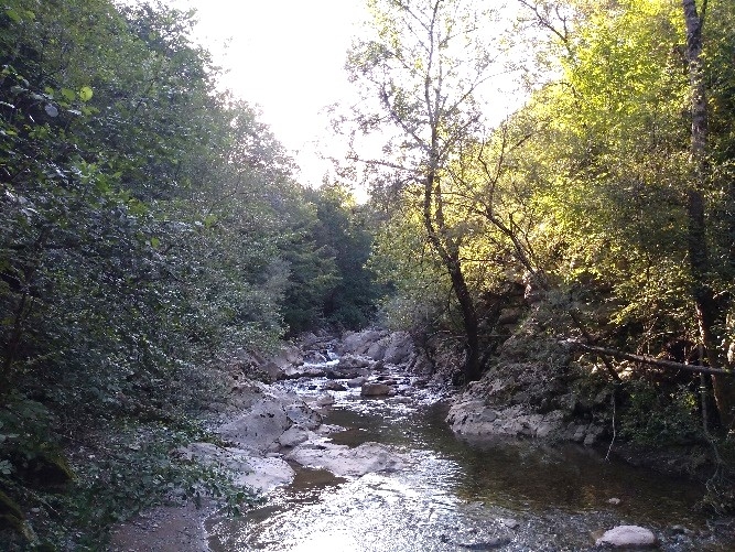 Reserva Natural Fluvial Rieras de Beget y Sant Aniol