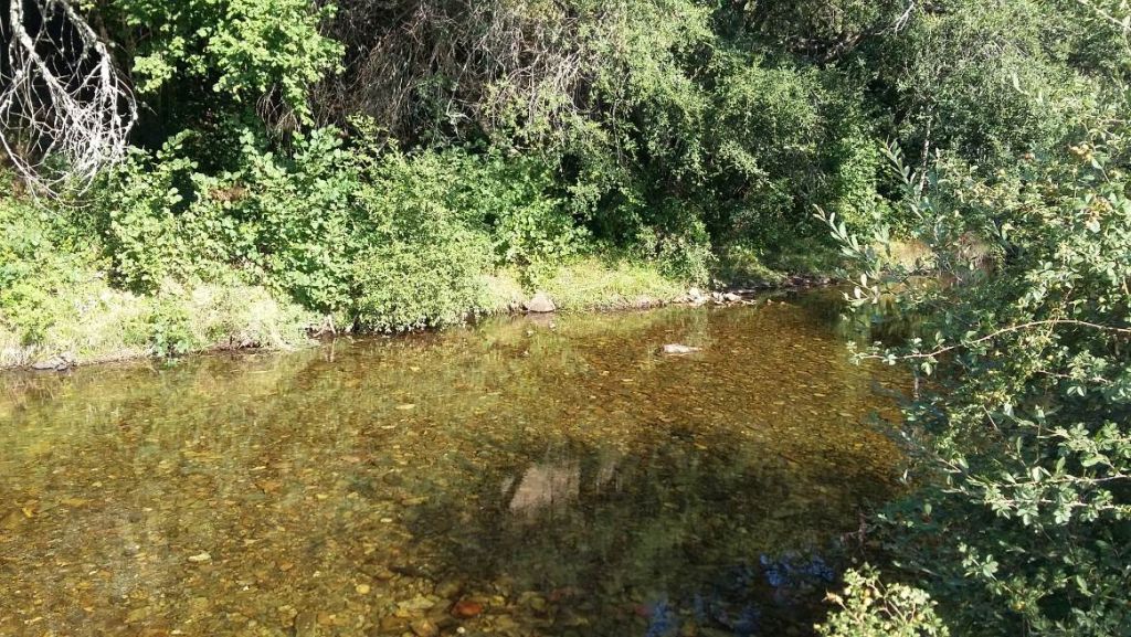 Remanso del río en zona de solana en la reserva natural fluvial Cabecera del río Pedroso