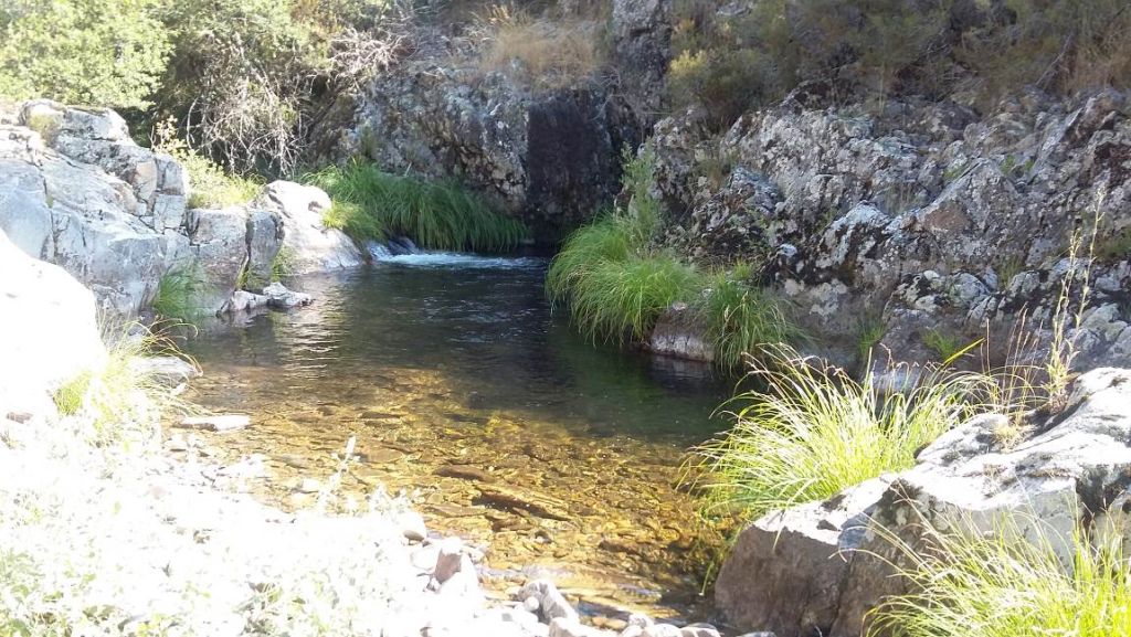 Formaciones rocosas encajonando el cauce en la reserva natural fluvial Cabecera del río Pedroso