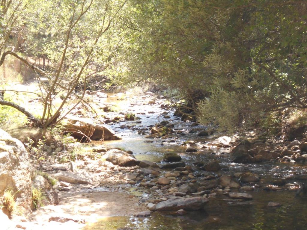 Zona de rápidos en la reserva natural fluvial Alto Eresma