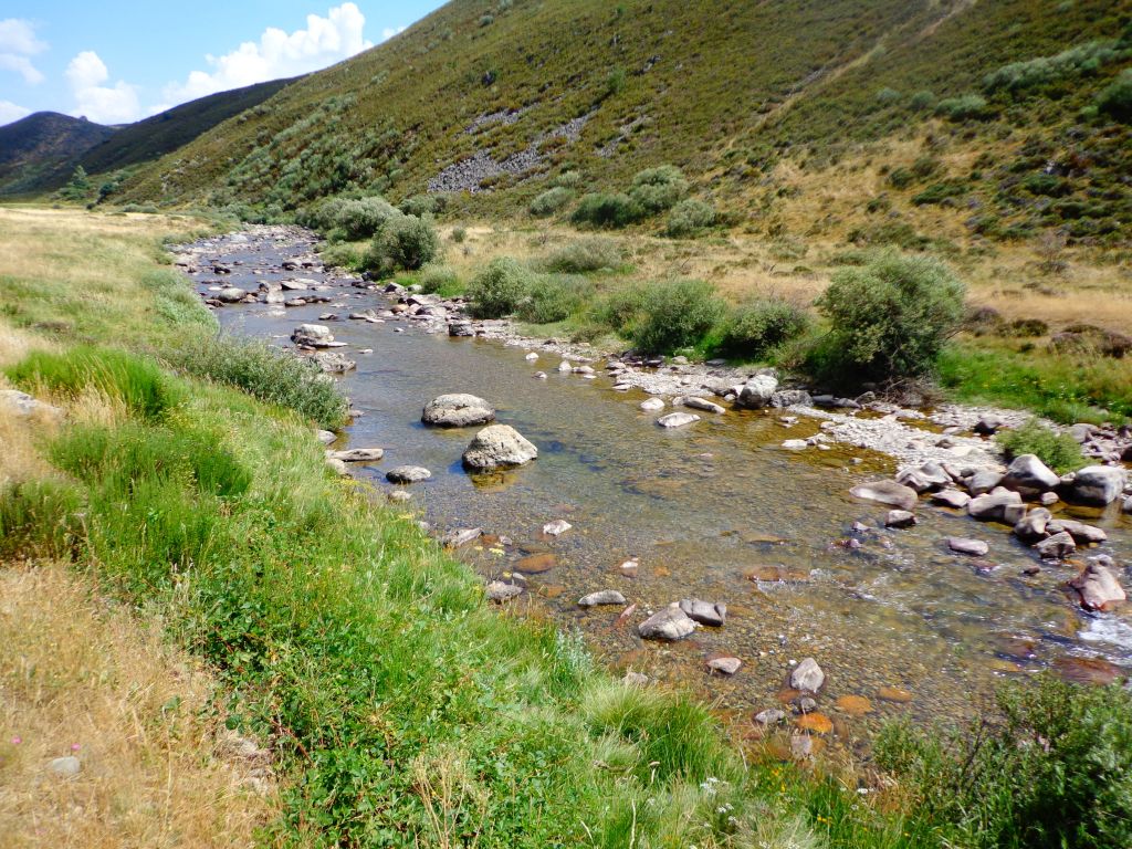 Bloques arrastrados por el río en su tramo alto en la reserva natural fluvial Alto Carrión