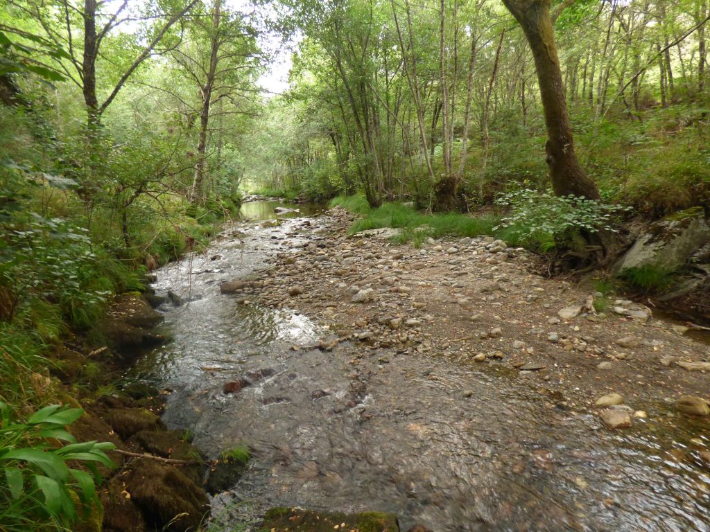 Barra lateral en el cauce de la reserva natural fluvial Rego da Ribeira Grande