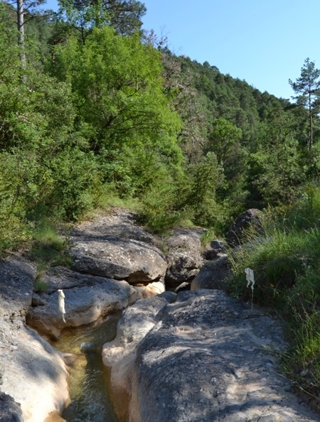 Reserva Natural Fluvial Cabecera de la Riera de la Portella