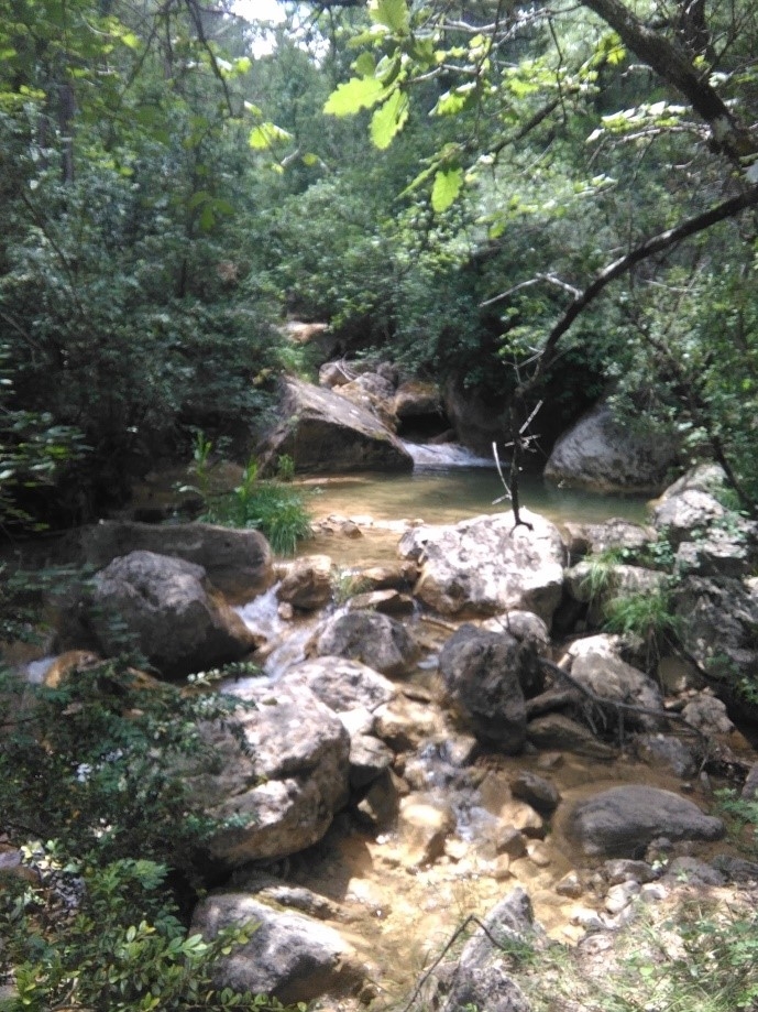 Reserva Natural Fluvial Cabecera de Peguera