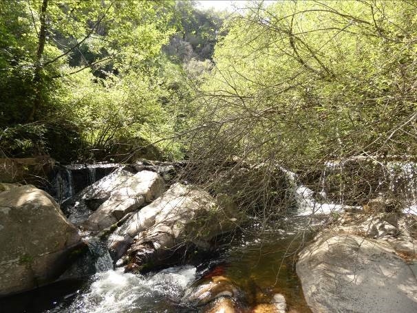 Reserva Natural Fluvial Cabecera de la Riera de Osor