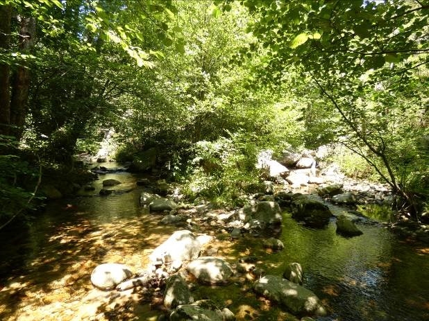 Reserva Natural Fluvial Cabecera del Arnera