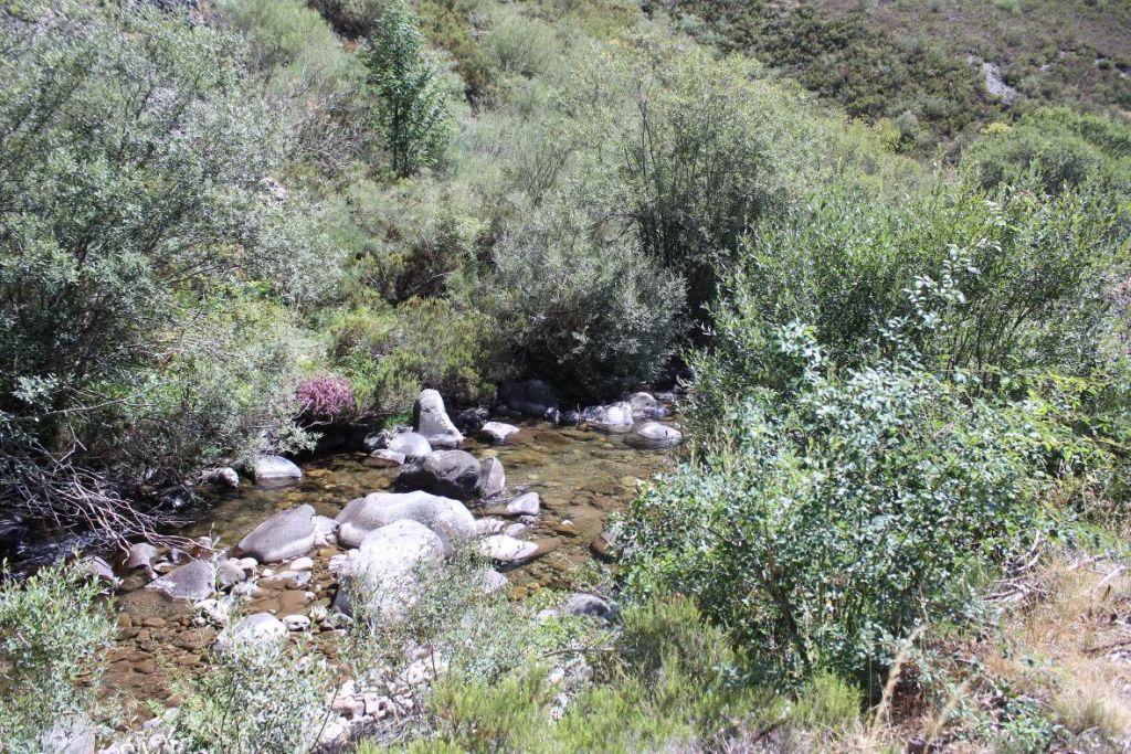 Sedimentos de gran tamaño en el cauce del río en la reserva natural fluvial Río Lechada