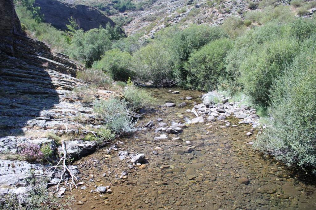 Aguas cristalinas en que permiten observar el lecho del río en la reserva natural fluvial Río Lechada
