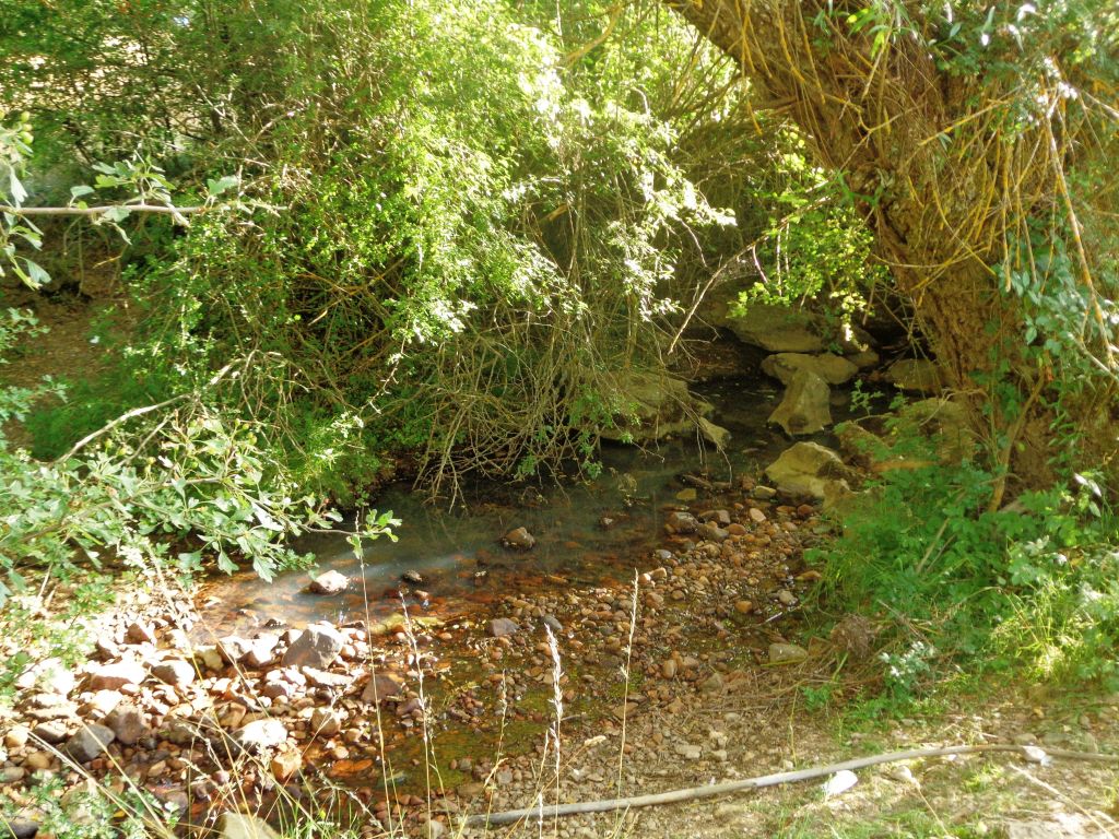 Pequeñas charcas formadas en el lecho en época de estiaje en la reserva natural fluvial Arroyo Resoba