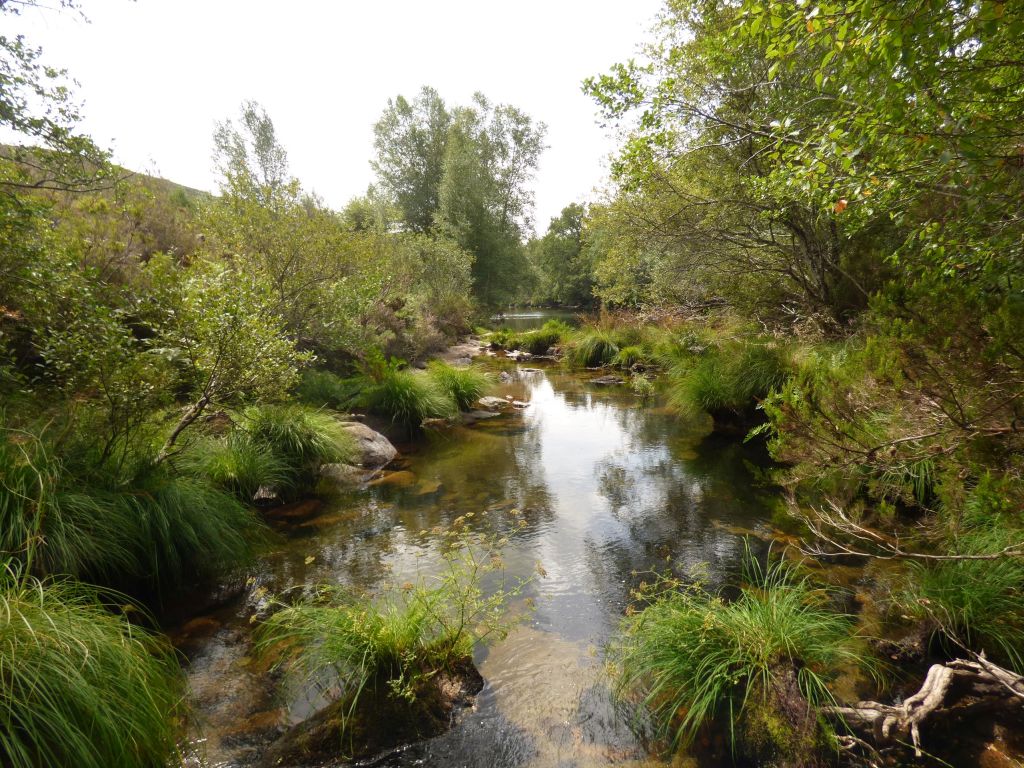 Aguas remansadas en la reserva natural fluvial Río Laboreiro