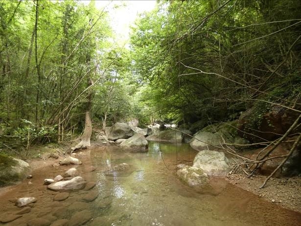 Reserva Natural Fluvial Cabecera del Gurn