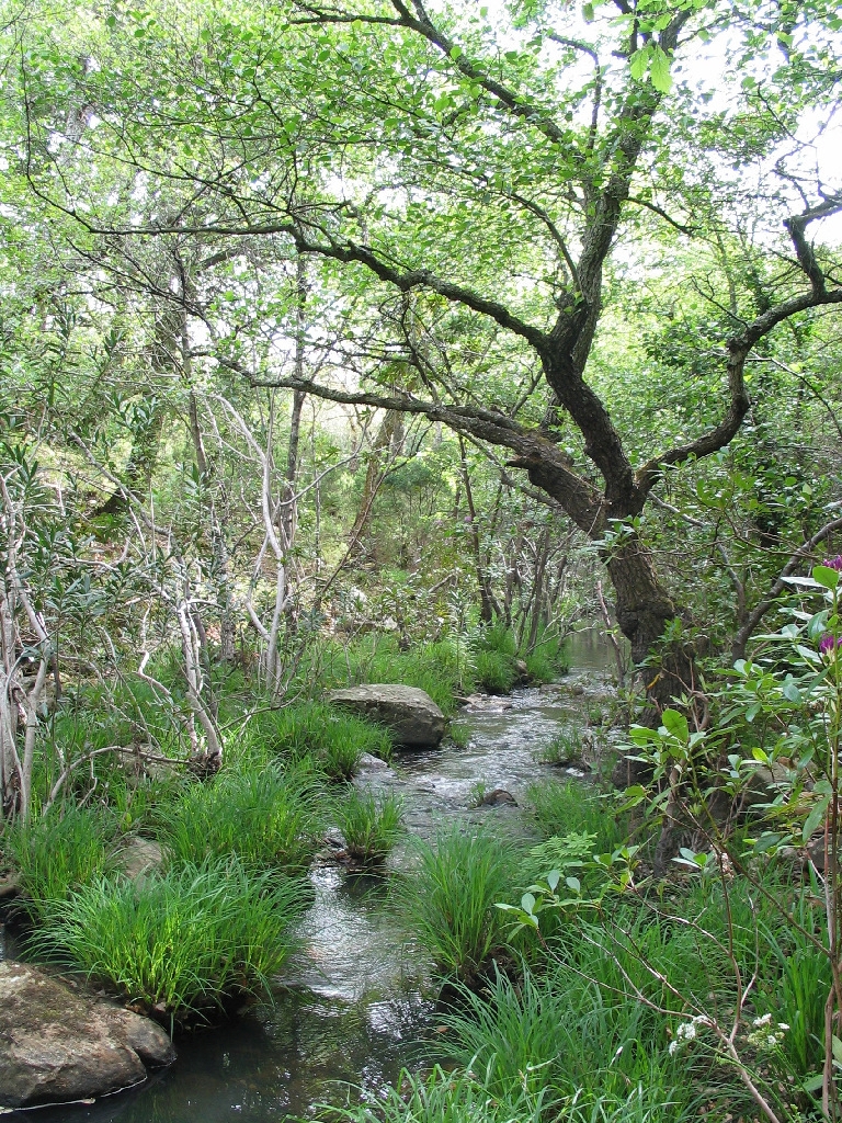 Reserva Natural Fluvial Valdeinfierno - La Hoya