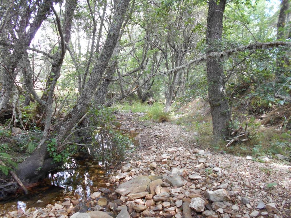 Cauce parcialmente seco del río con acumulación de sedimentos en la reserva natural fluvial Alto Turienzo y afluentes