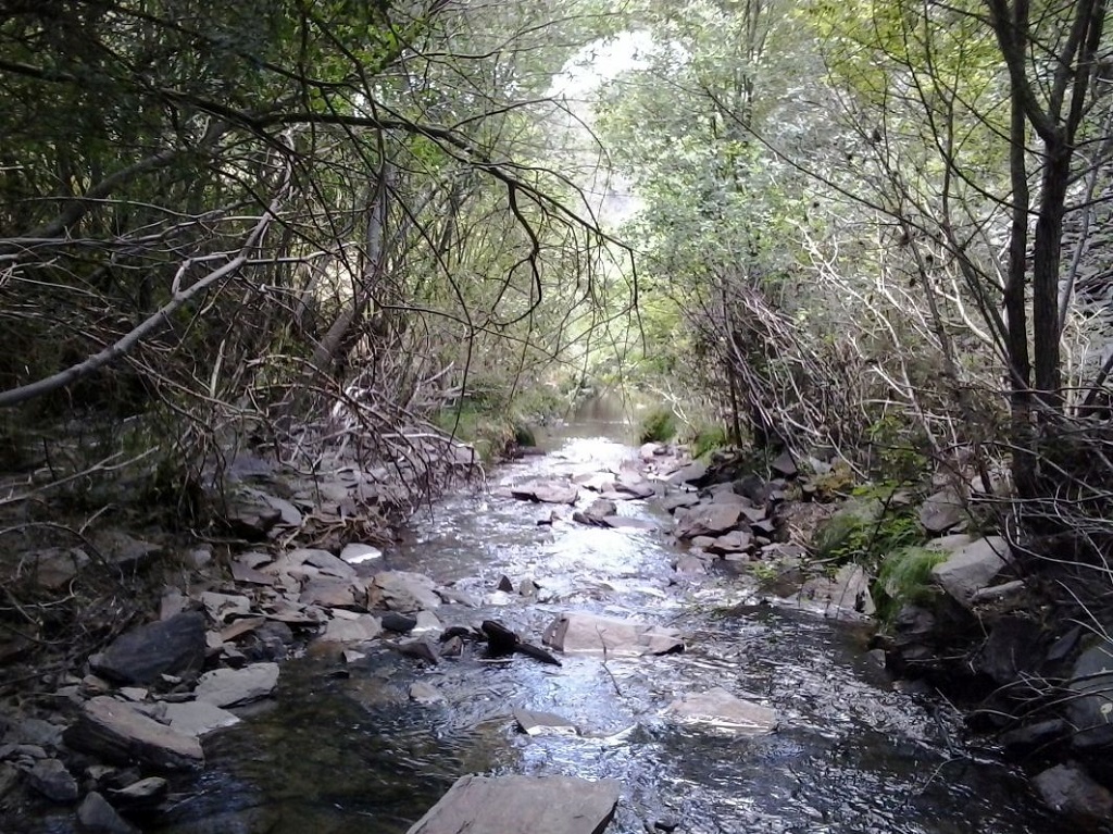 Lecho de pizarra formando rápidos y remansos en la reserva natural fluvial Río Jaramilla