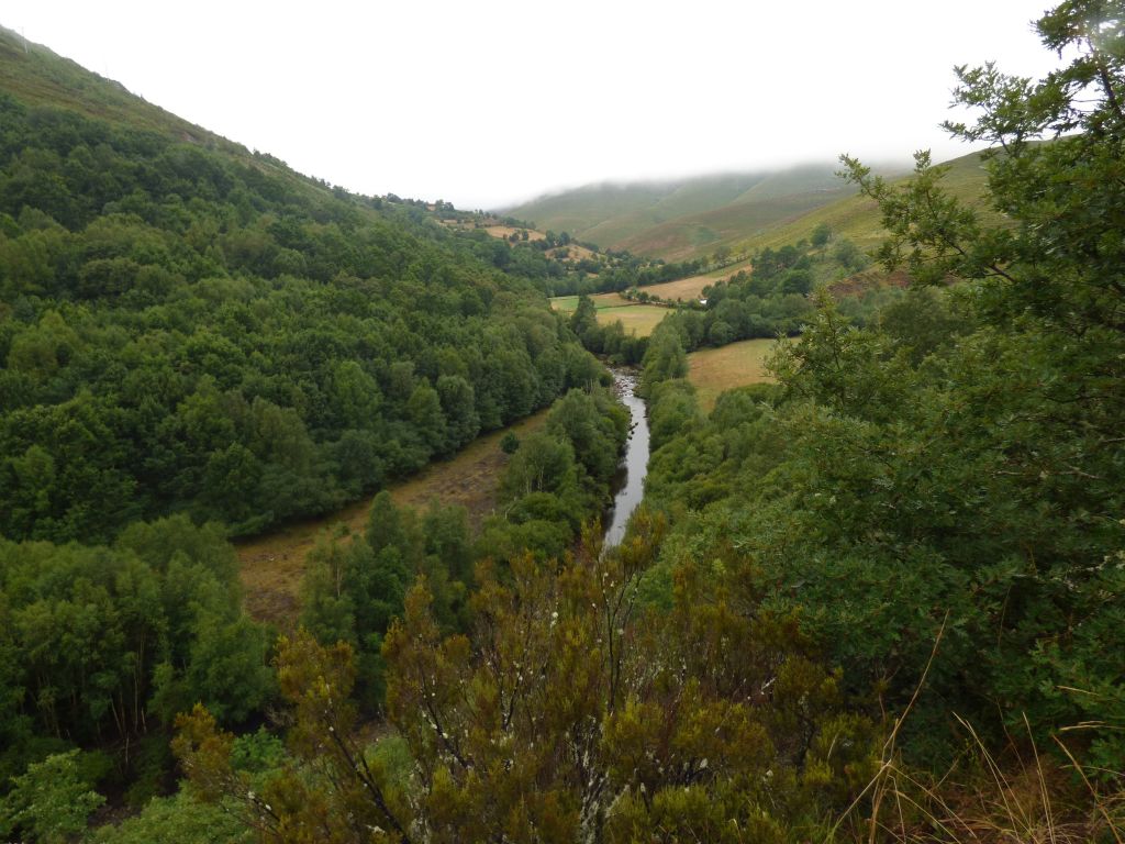 Vista general del valle en un tramo de la reserva natural fluvial Río Navea I