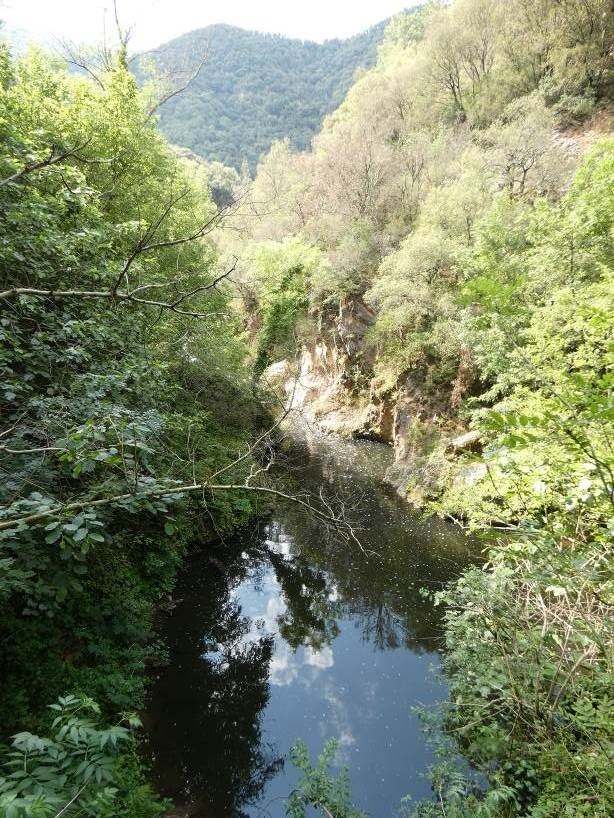 Reserva Natural Fluvial Tramo Medio de la Riera de Osor