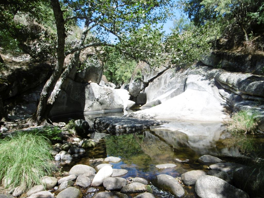 Afloramientos de roca madre que crean zonas de pozas y no permite el desarrollo de vegetación de ribera en la reserva natural fluvial Río Francia