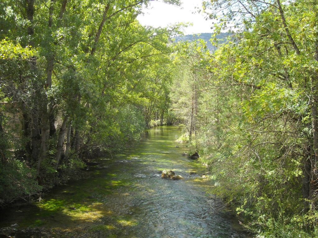 La reserva natural fluvial Río Hozseca, pese a su nombre, presenta un gran caudal
