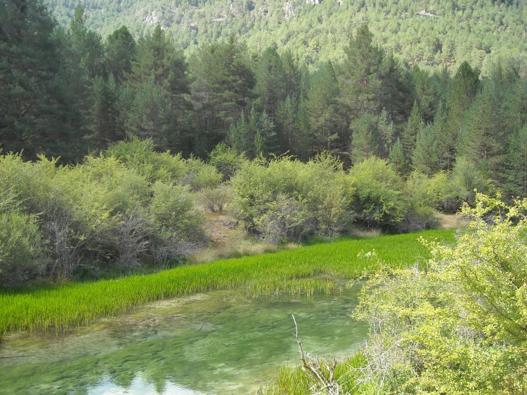 Agua de un manantial que alimenta la reserva natural fluvial Río Hozseca