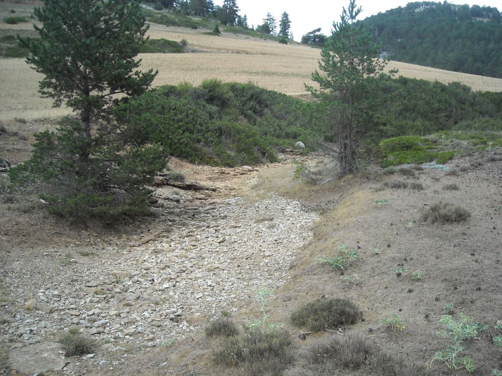 El agua conforma meandros cuando baja en torrente por la reserva natural fluvial Rambla de la Sarguilla