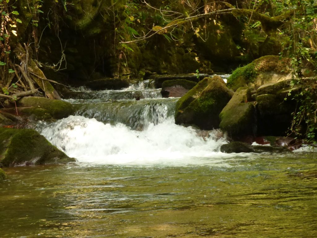 Gradas en la reserva natural fluvial Río Lor I