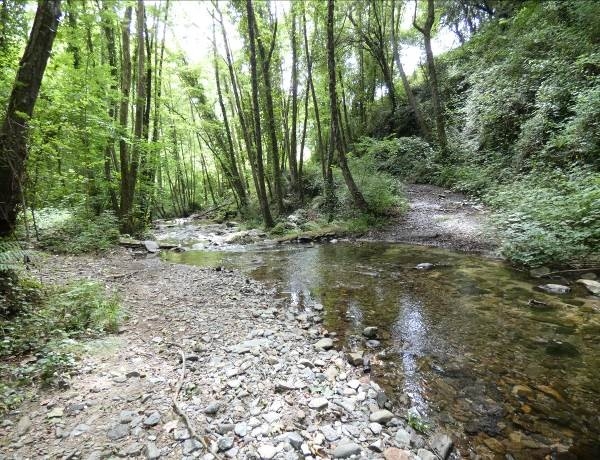 Reserva Natural Fluvial Cabecera del Tordera