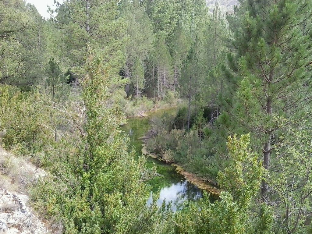 Pequeño meandro en la reserva natural fluvial Río Escabas
