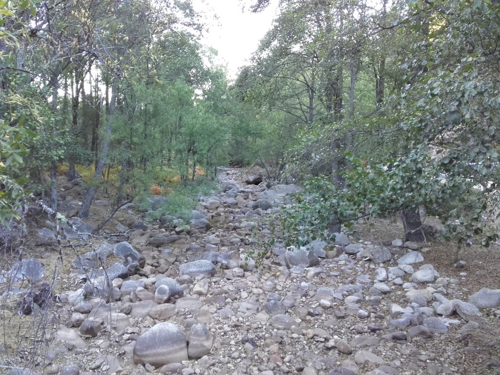 Diferentes granulometrías a lo largo de la reserva natural fluvial Garganta Iruelas muestran la fuerza con que discurre el río y la dinámica de sedimentos en momentos de gran circulación de caudales