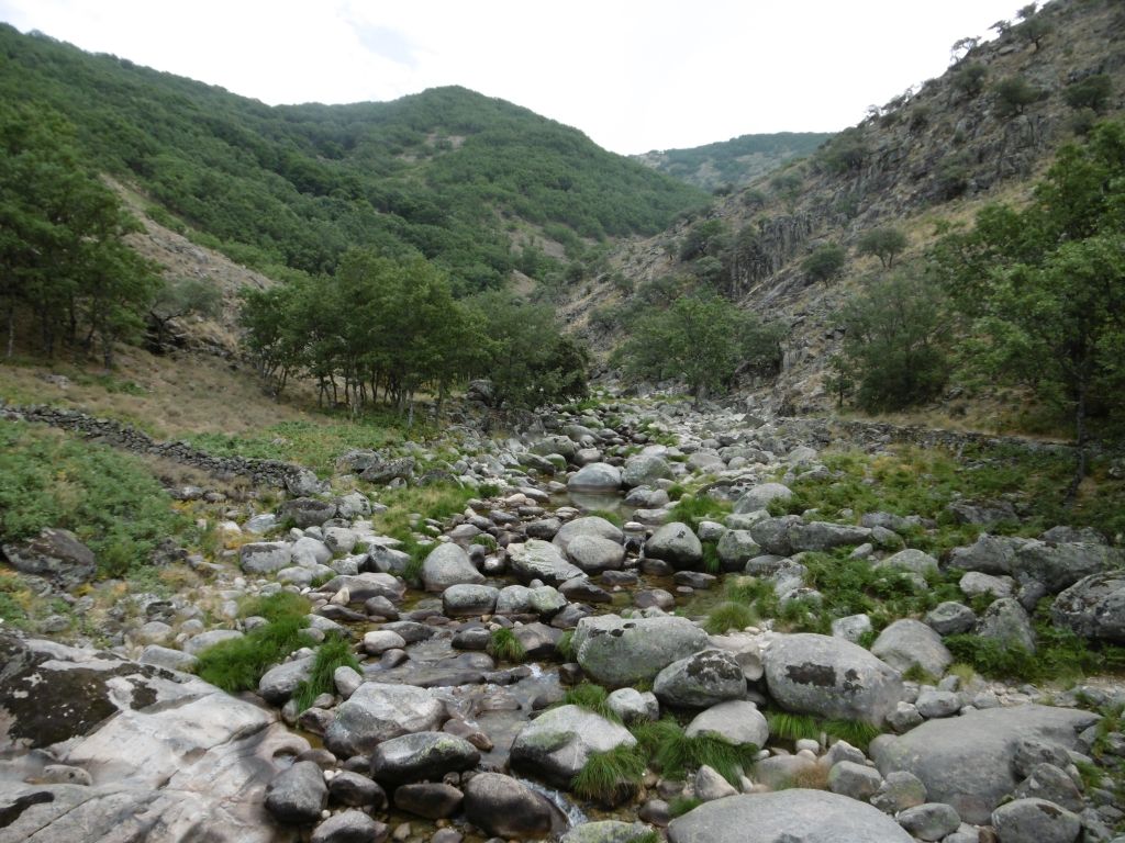 Granulometría de sedimentos gruesa, dominada por gravas, bloques y cantos en la reserva natural fluvial Garganta de los Infiernos