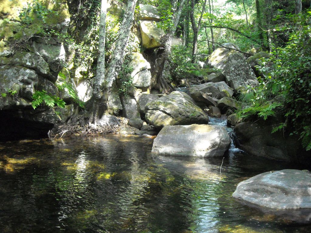 Afloramientos de roca madre que crean zonas de pozas y no permite el desarrollo de vegetación de ribera en la reserva natural fluvial Garganta Mayor