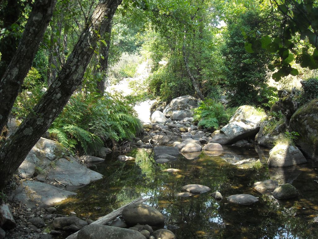 Agua remansada en la reserva natural fluvial Garganta Mayor