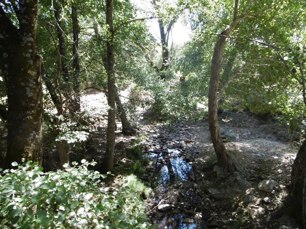 Granulometría de sedimentos gruesa, dominada por gravas y cantos en la reserva natural fluvial Río Malvecino