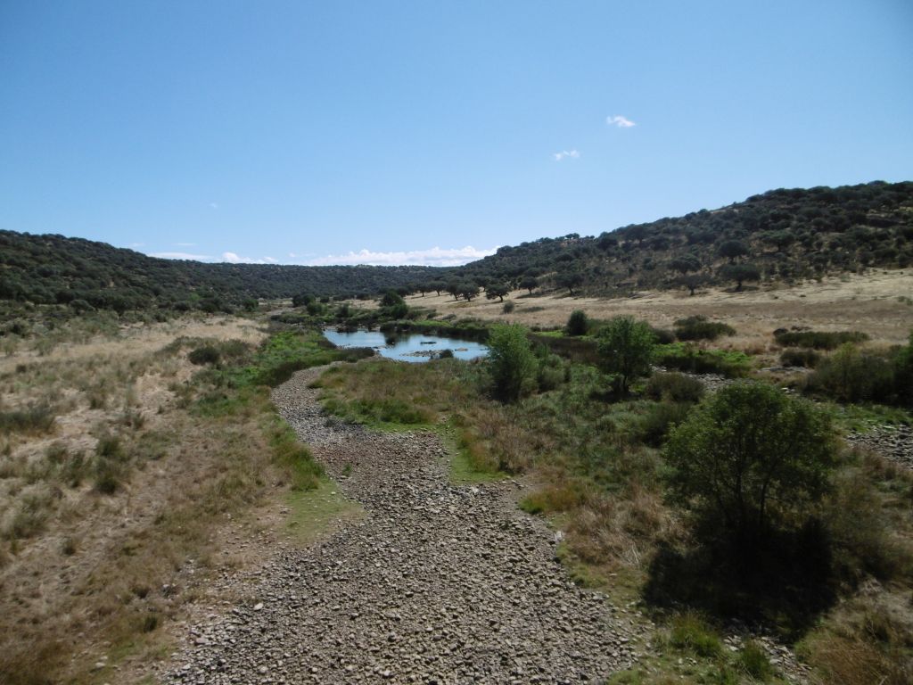 Vegetación de ribera poco desarrollada por presiones ganaderas en la reserva natural fluvial Río Almonte