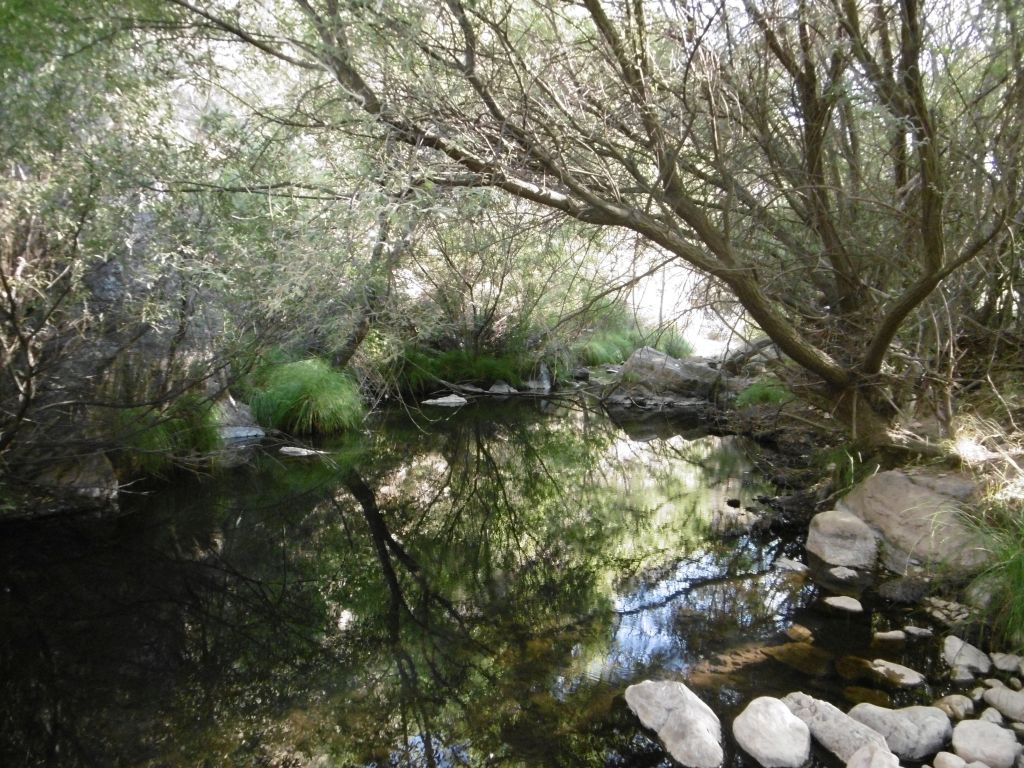 Pozas de agua reflejan la vegetación en la reserva natural fluvial Río Gévalo