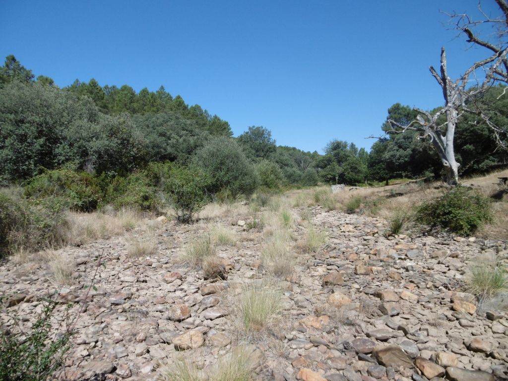 La reserva natural fluvial Arroyo Cabrera en periodo de estiaje
