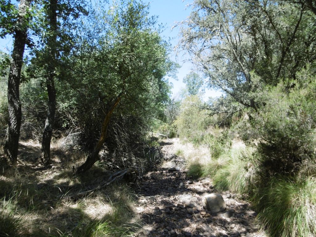 Cantos rodados en el lecho del cauce de la reserva natural fluvial Arroyo Cabrera