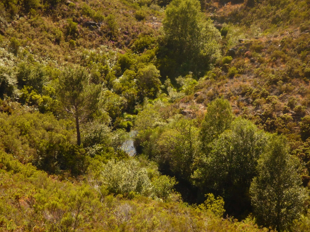Reserva Natural Fluvial del Río Ulla-Deza. Zona: Deza