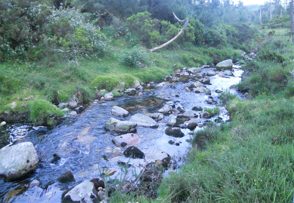 Reserva Natural Fluvial del Río Masma. Zona: Masma I