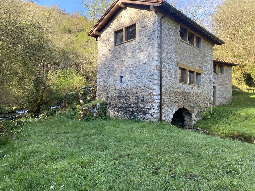 Antiguo Molino