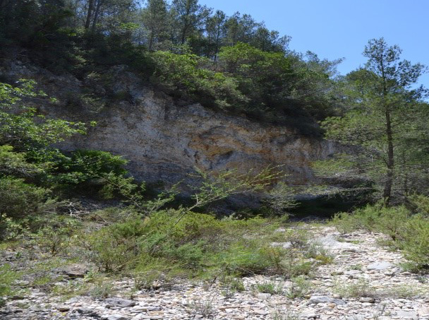 Reserva Natural Fluvial Barranco de Jovara
