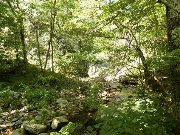 Reserva Natural Fluvial Cabecera del Arnera