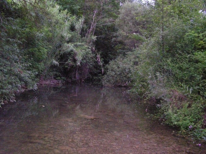 Reserva Natural Fluvial Riera de Borró
