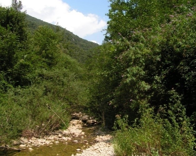  Reserva Natural Fluvial Riera de Oix
