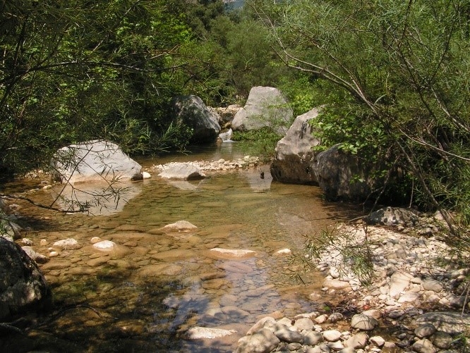 Reserva Natural Fluvial Rieras de Beget y Sant Aniol