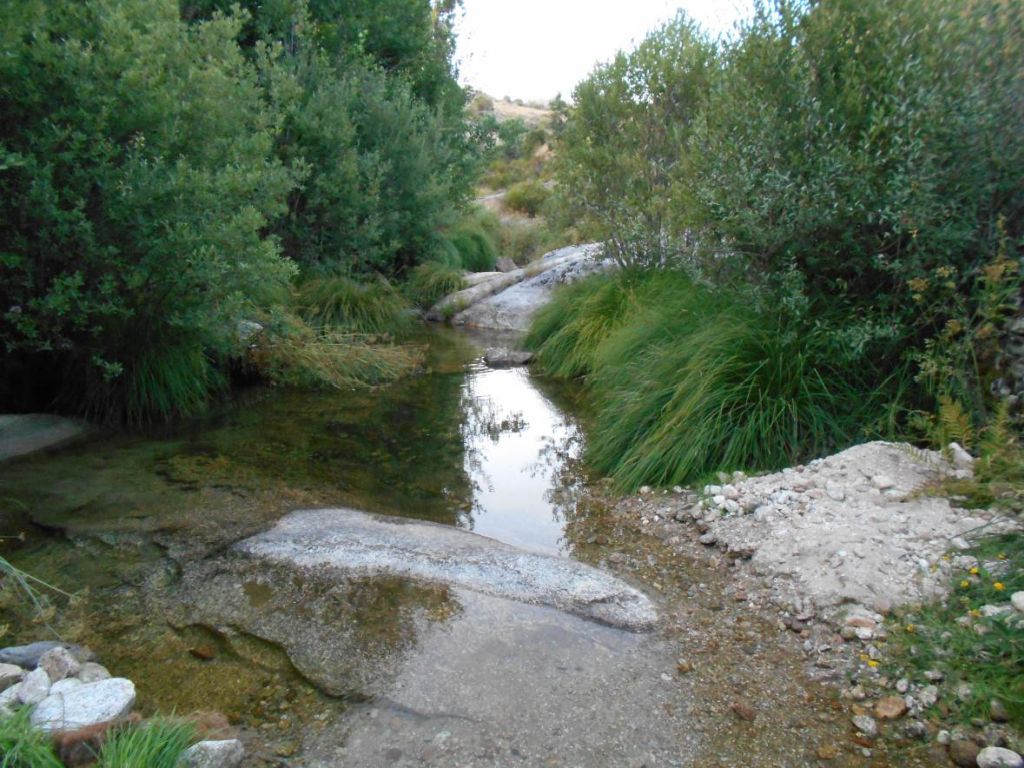 Poza rodeada de sauces en la reserva natural fluvial Río Corneja