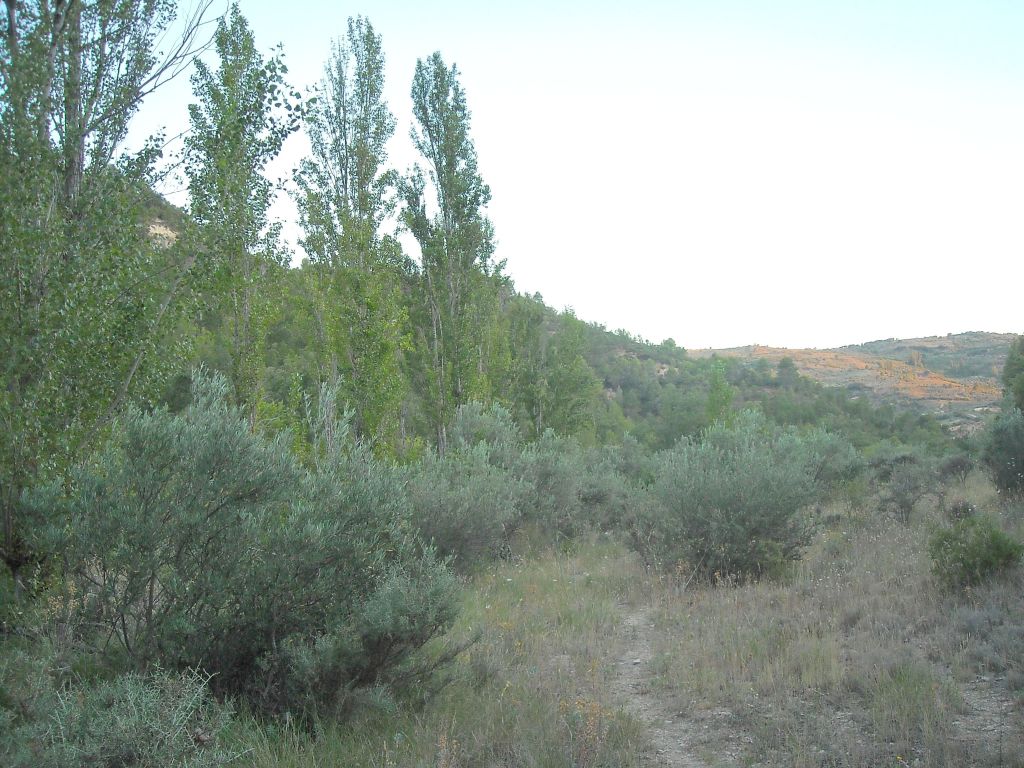 Cultivos en las inmediaciones de la reserva natural fluvial Arroyo Ompolveda